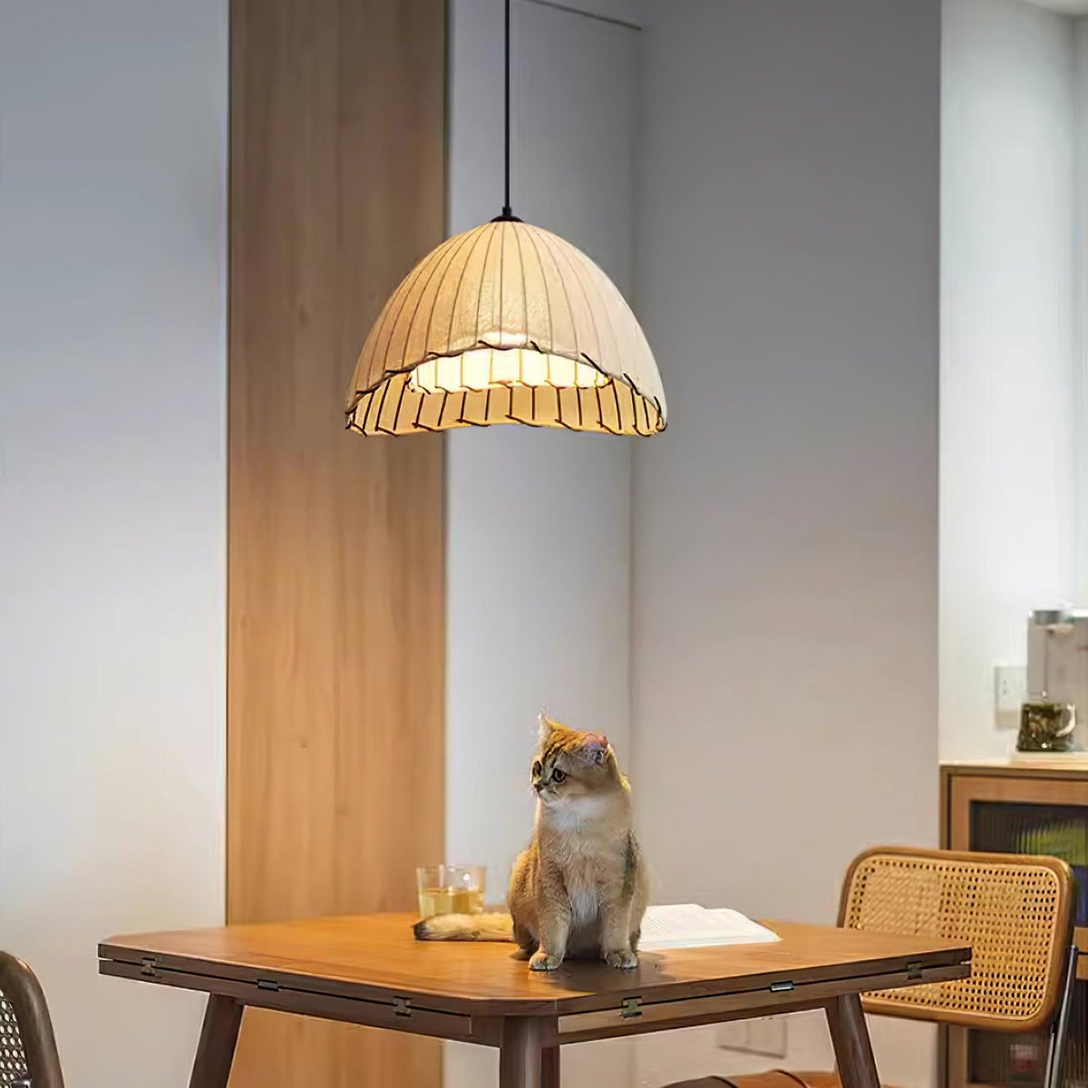Seloeria hanglamp