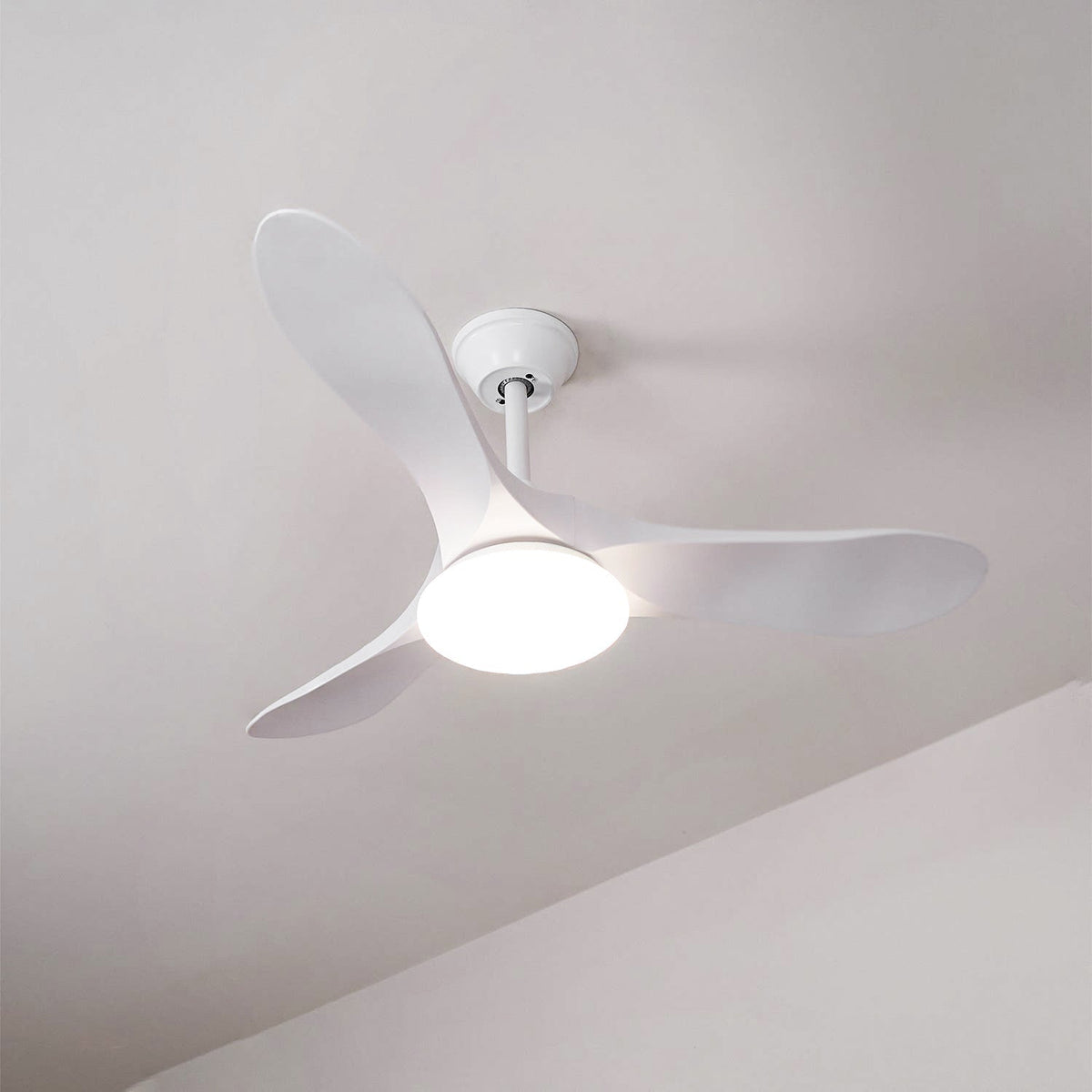 Liorueria plafondventilator met verlichting