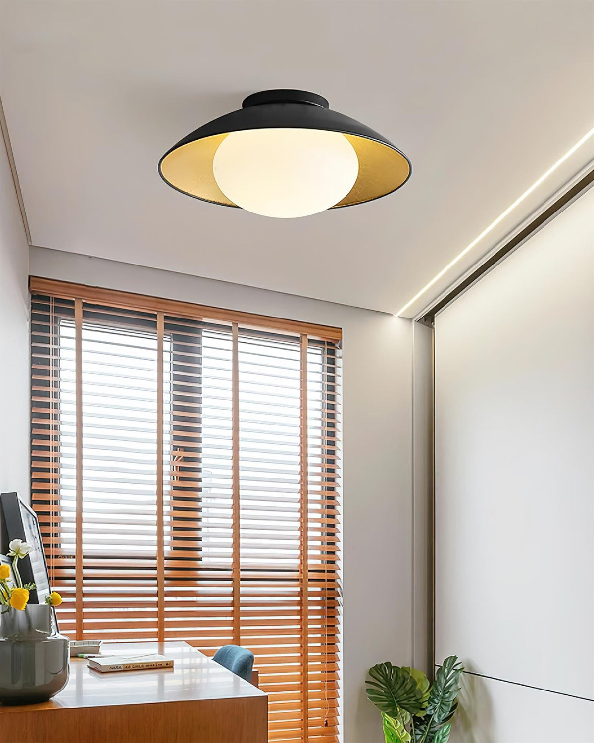 Reneaine plafondlamp