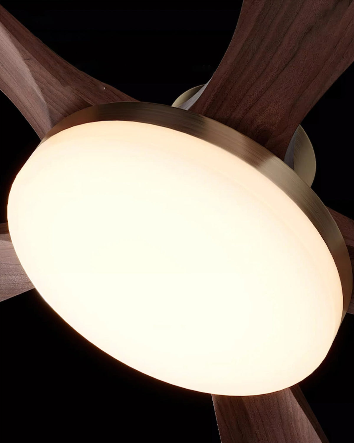 Hawthorne plafondventilator met verlichting