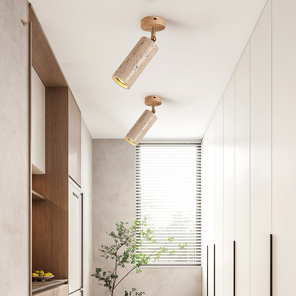 Lumaleon plafondlamp