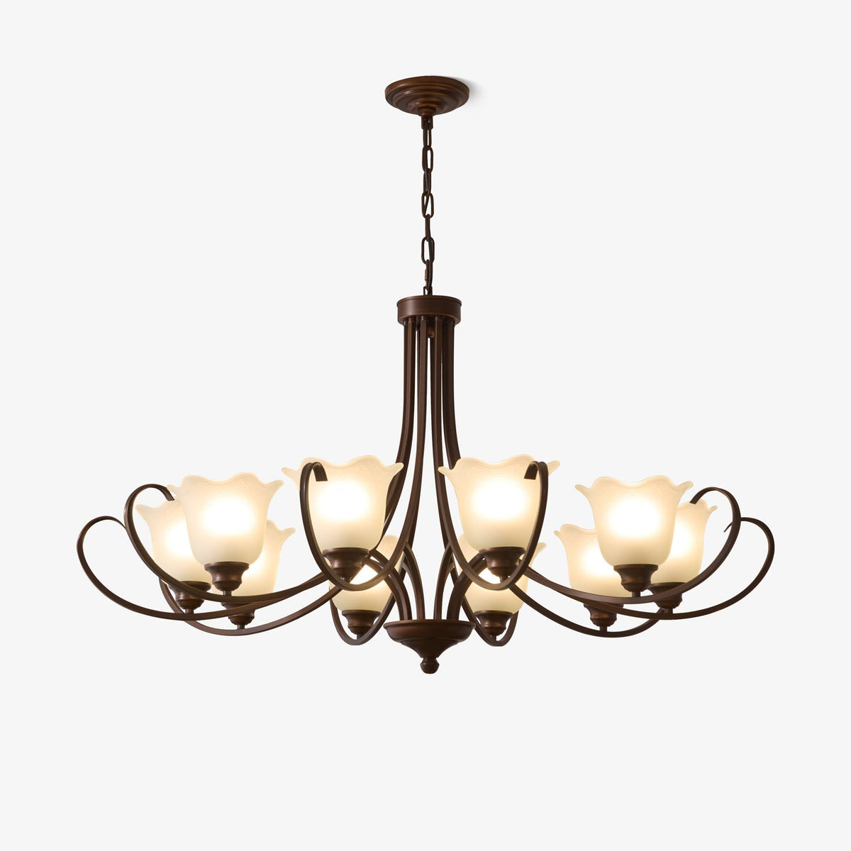 Nydorisra elegantie Vintage Bloemmotief glas Kroonluchter