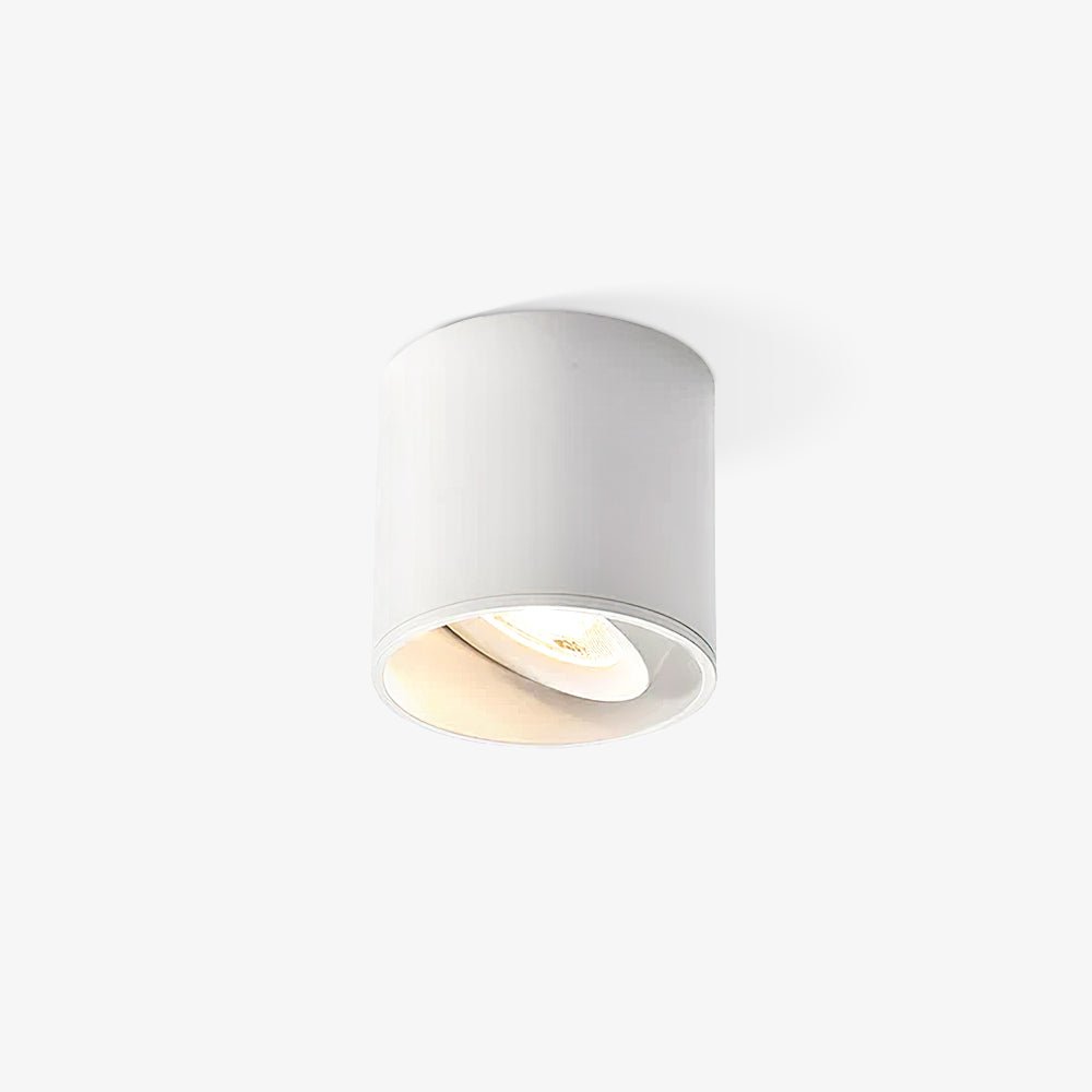 Celinaya plafondlamp acryl