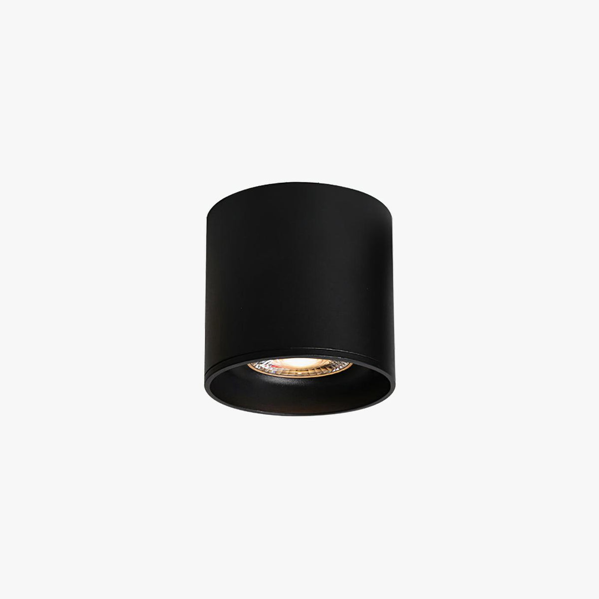 Celinaya plafondlamp acryl
