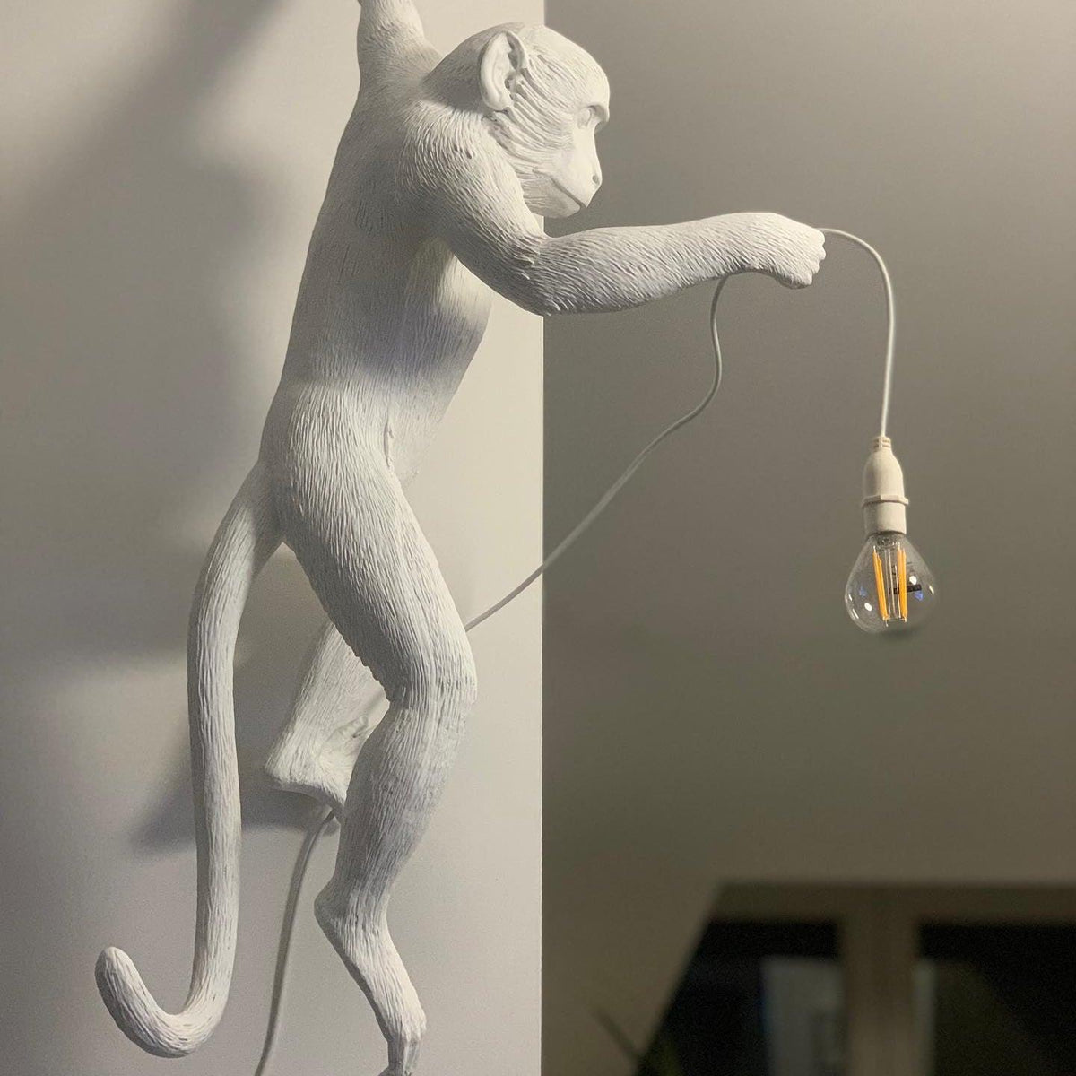 Bnx Art uniek Monkey hars wandlamp