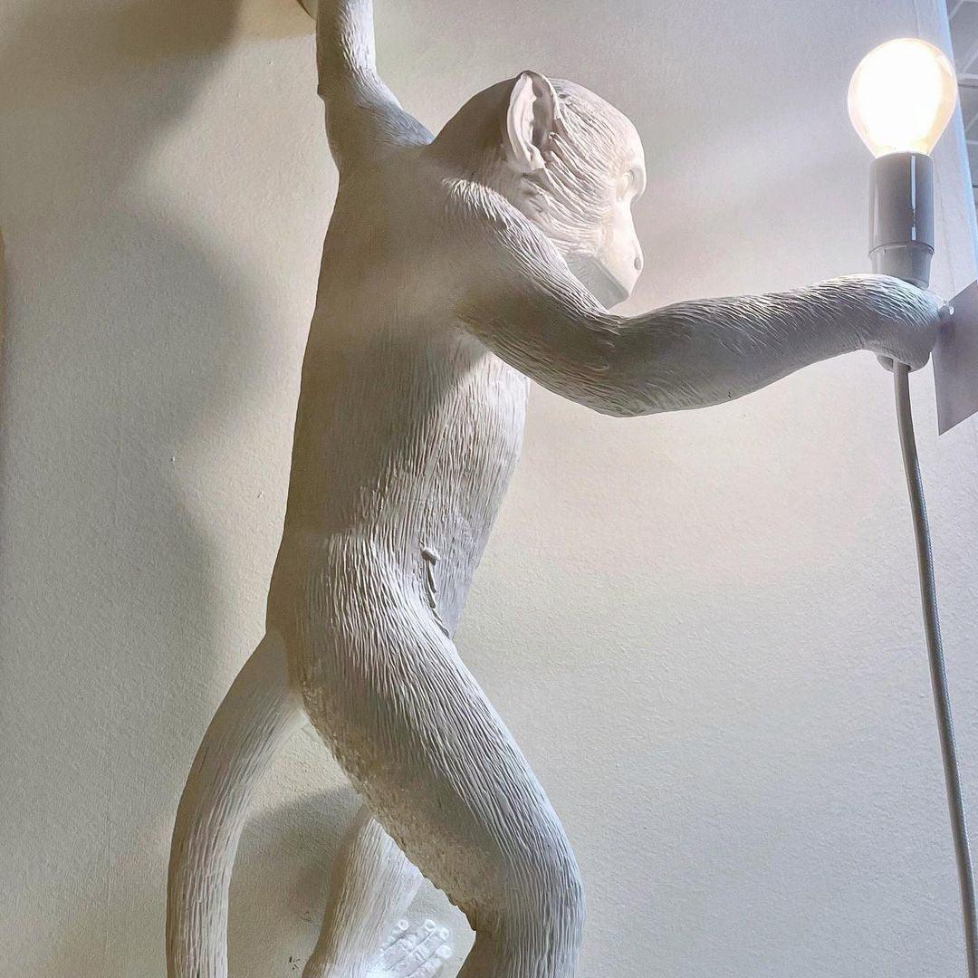 Bnx Art uniek Monkey hars wandlamp