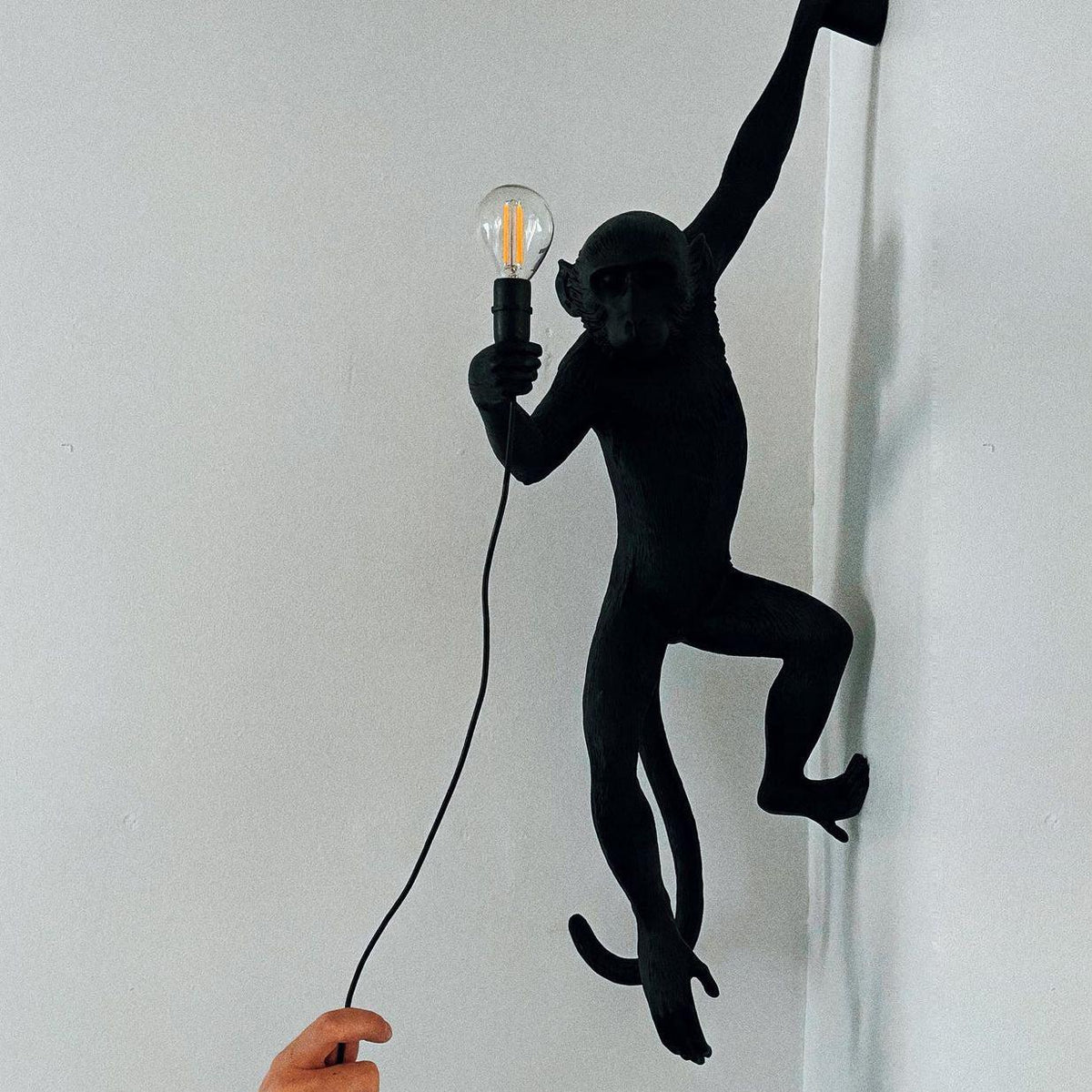 Bnx Art uniek Monkey hars wandlamp