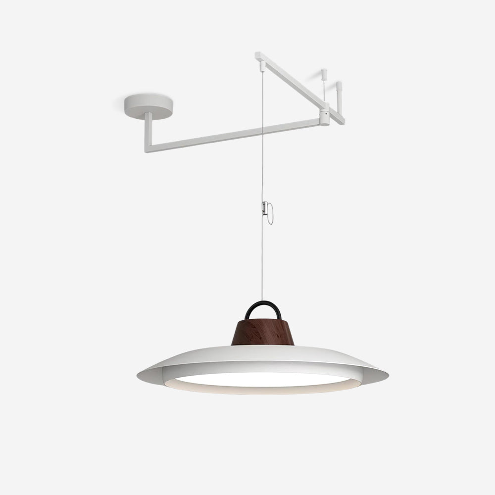Elaisenne Swing Arm hanglamp