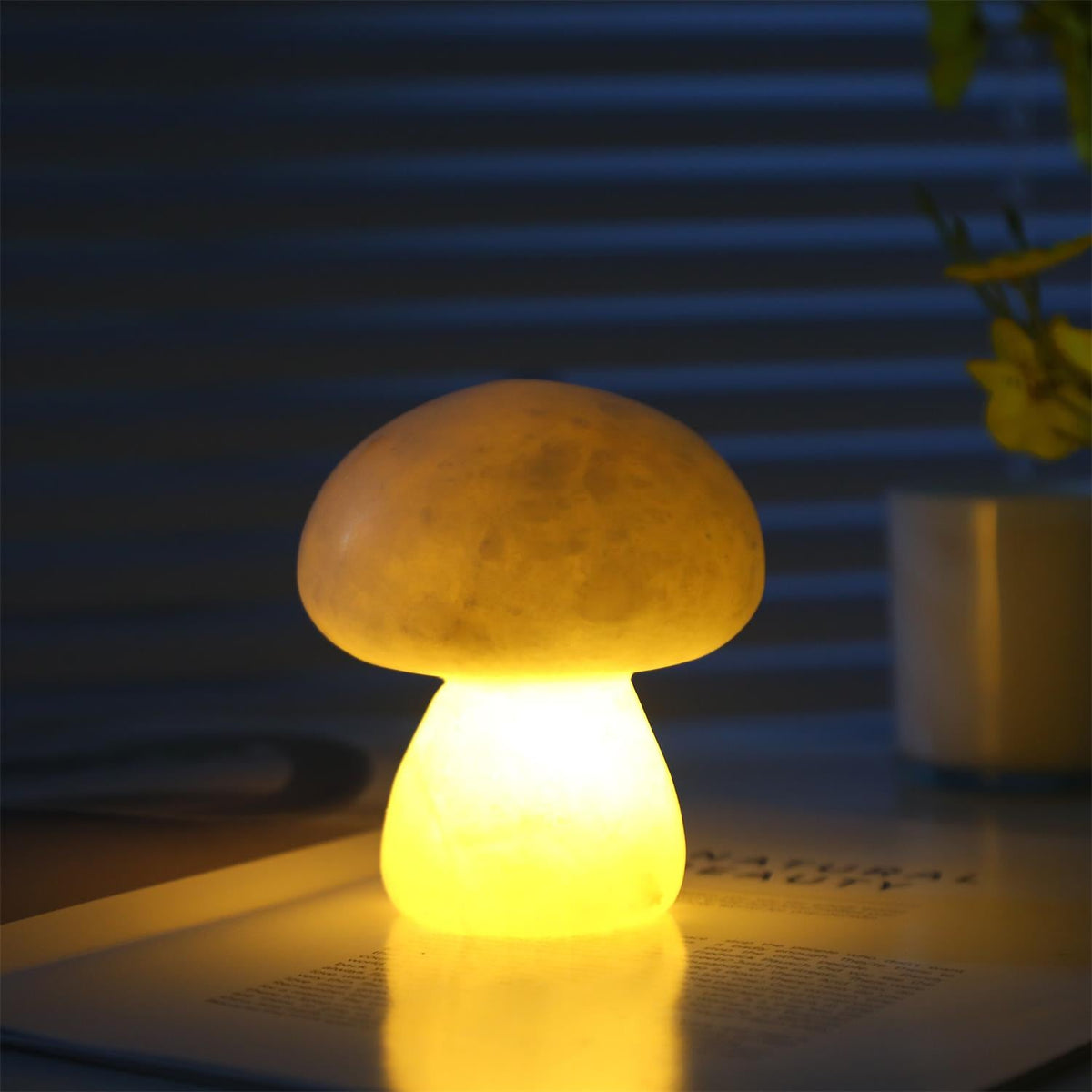 Fungi tafellamp (met ingebouwde batterij)