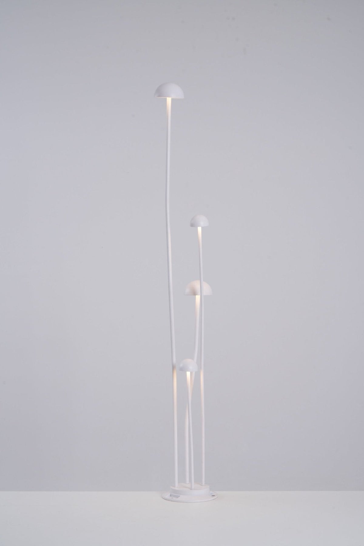 Nolv buitenwandlamp