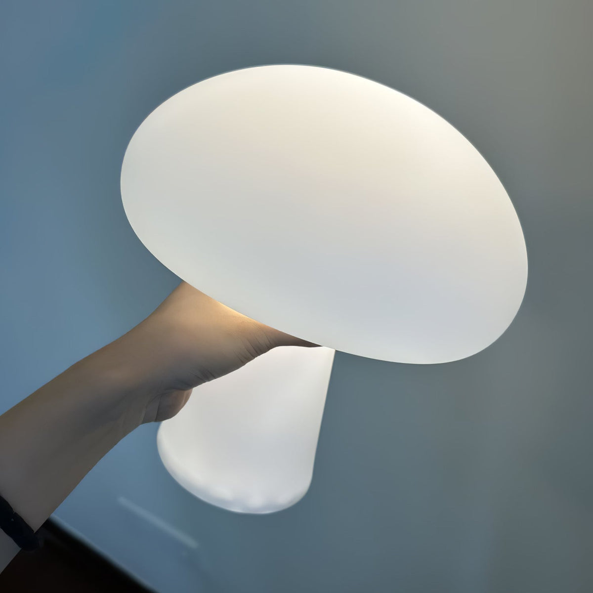 Ombra Whimsical tafellamp met glazen kap