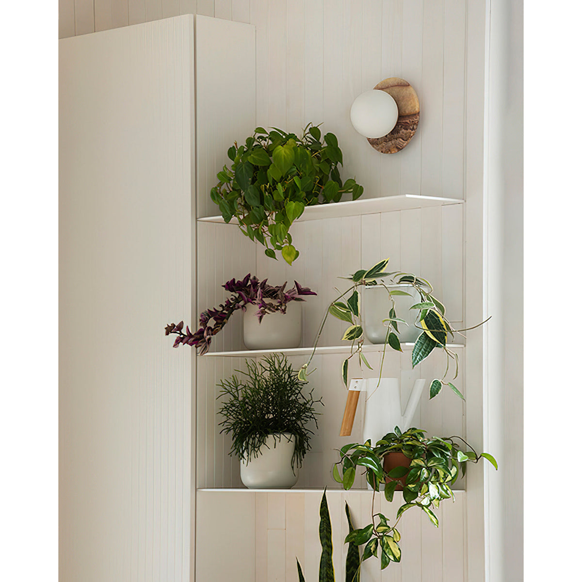 Ovyna wandlamp