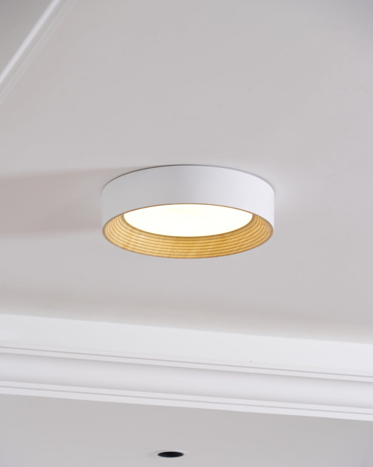 Elvirelle plafondlamp houten ring minimalistisch dimbaar