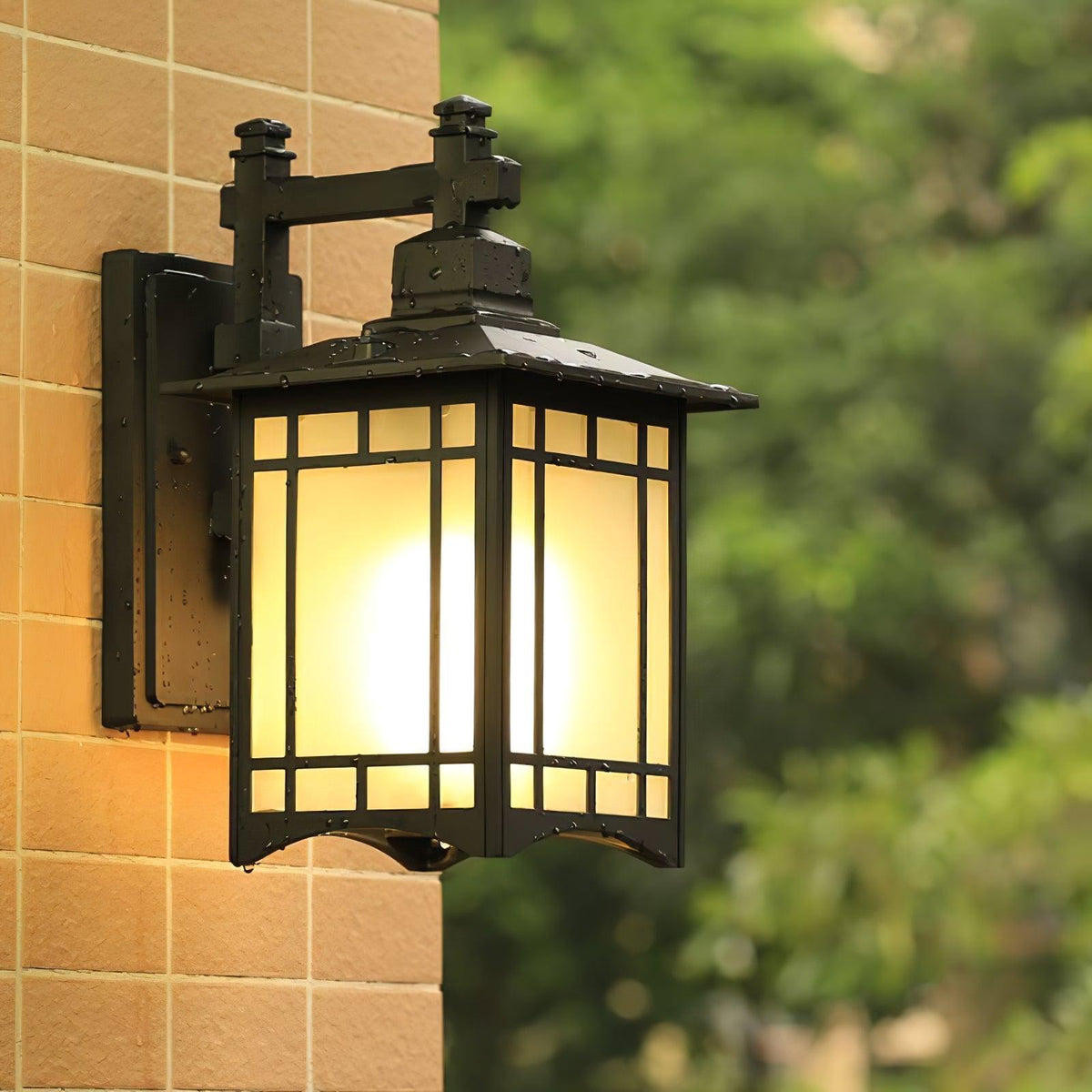 Lioruelle elegantie House glas buitenwandlamp