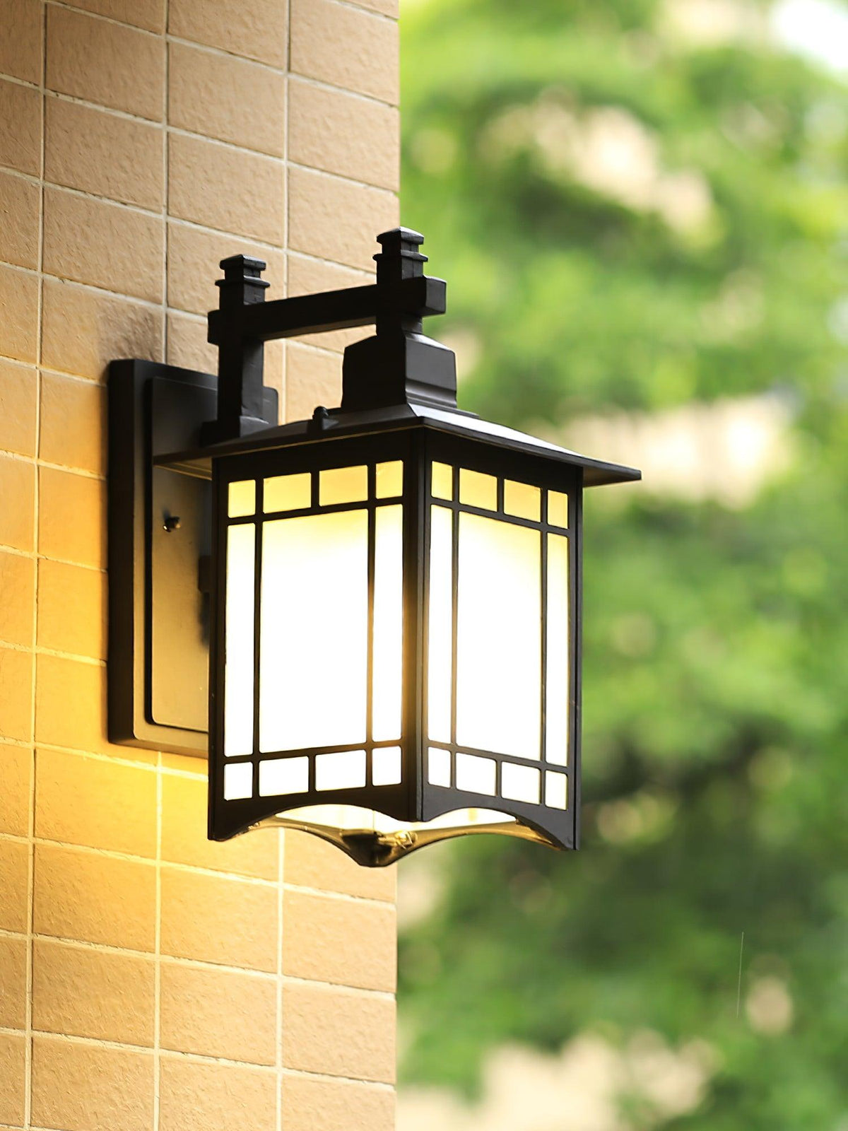 Lioruelle elegantie House glas buitenwandlamp