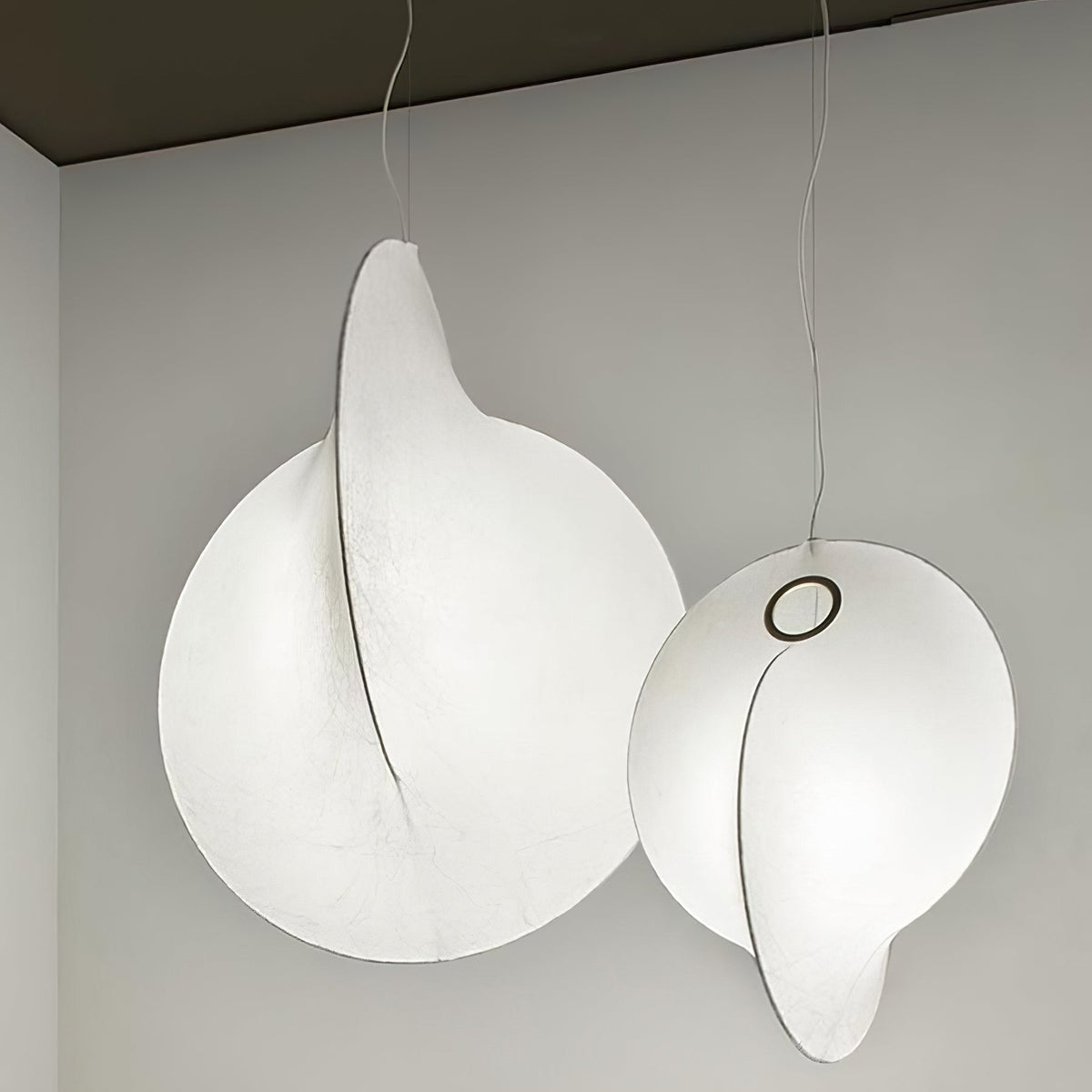 Ferivora Staal Kunstzinnige hanglamp