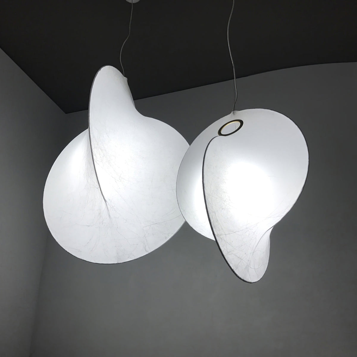 Ferivora Staal Kunstzinnige hanglamp