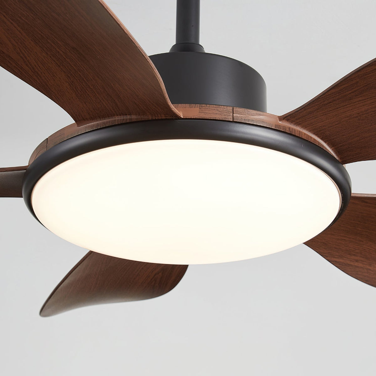 Rivivaine plafondventilator met verlichting