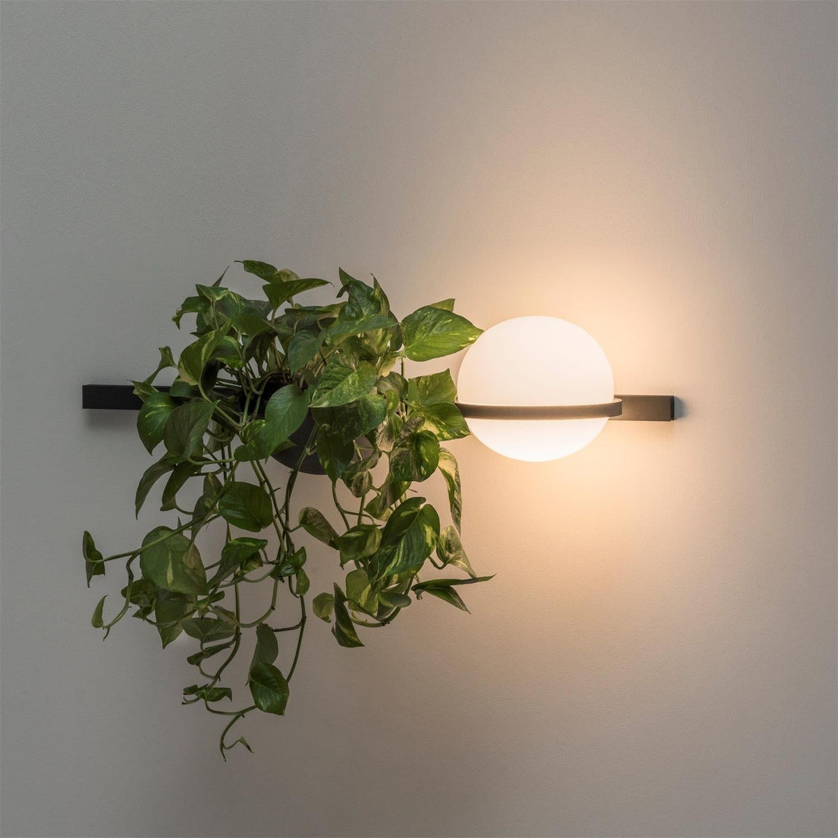Olthaarae wandlamp van acryl