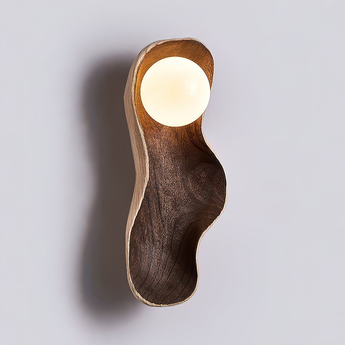 Renineria wandlamp