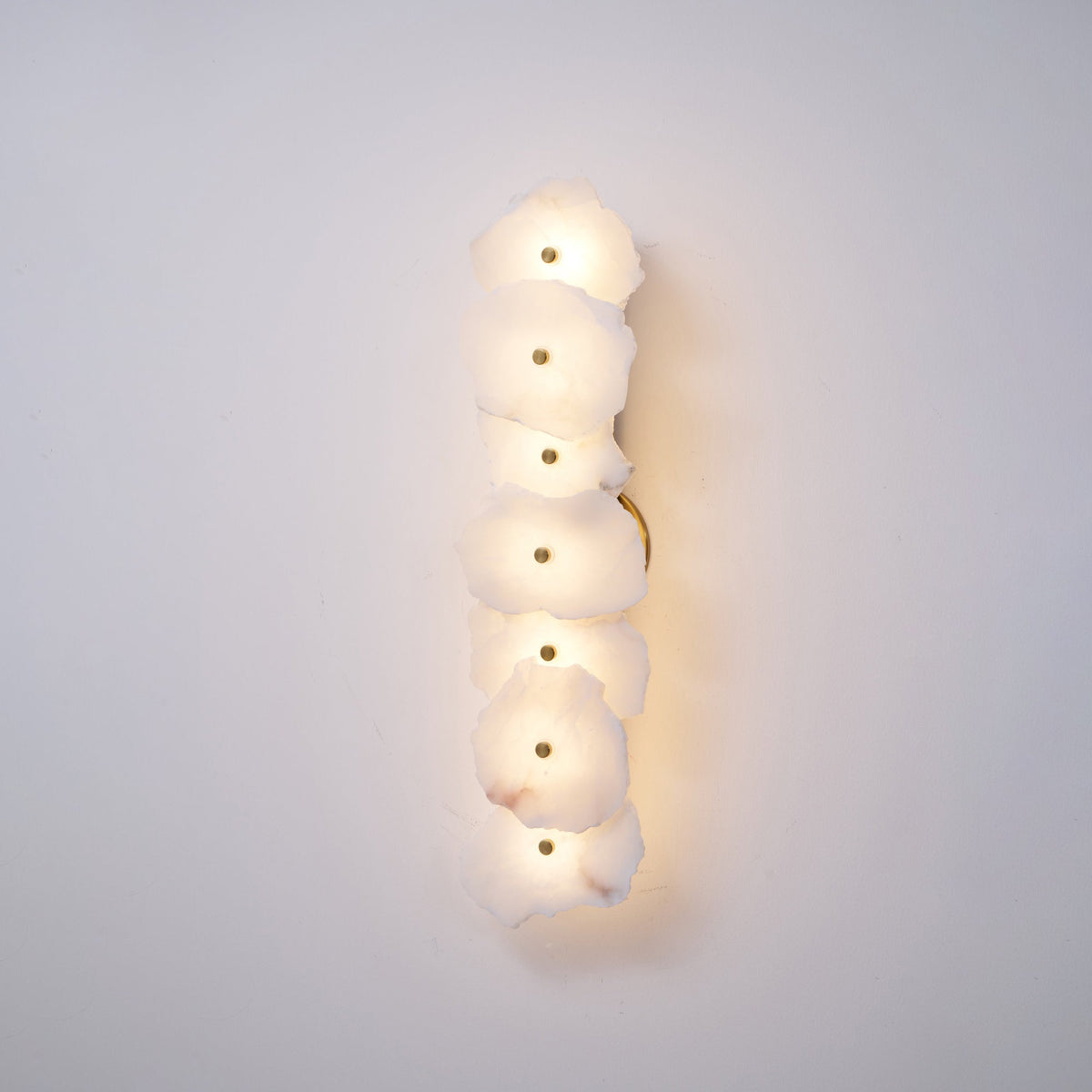Alaeila Floral Cluster albasten wandlamp