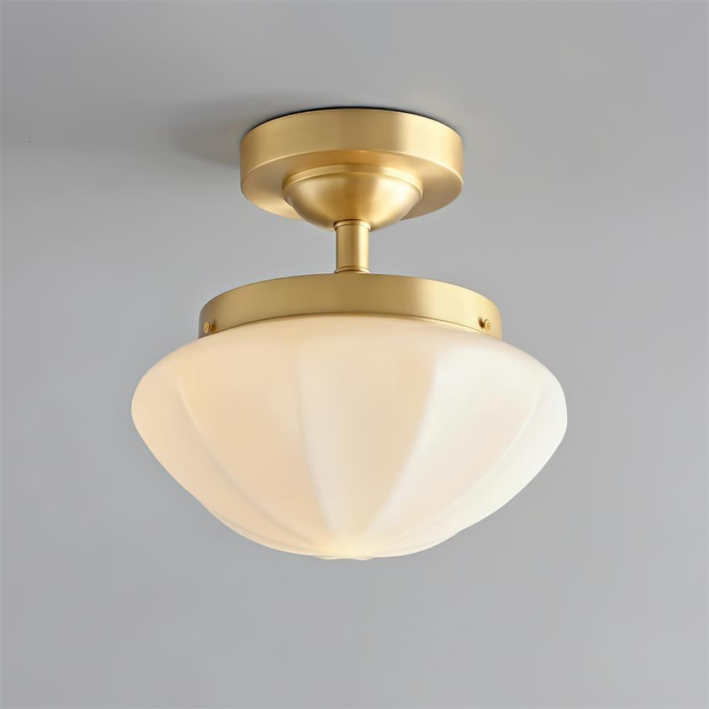 Lumoel plafondlamp
