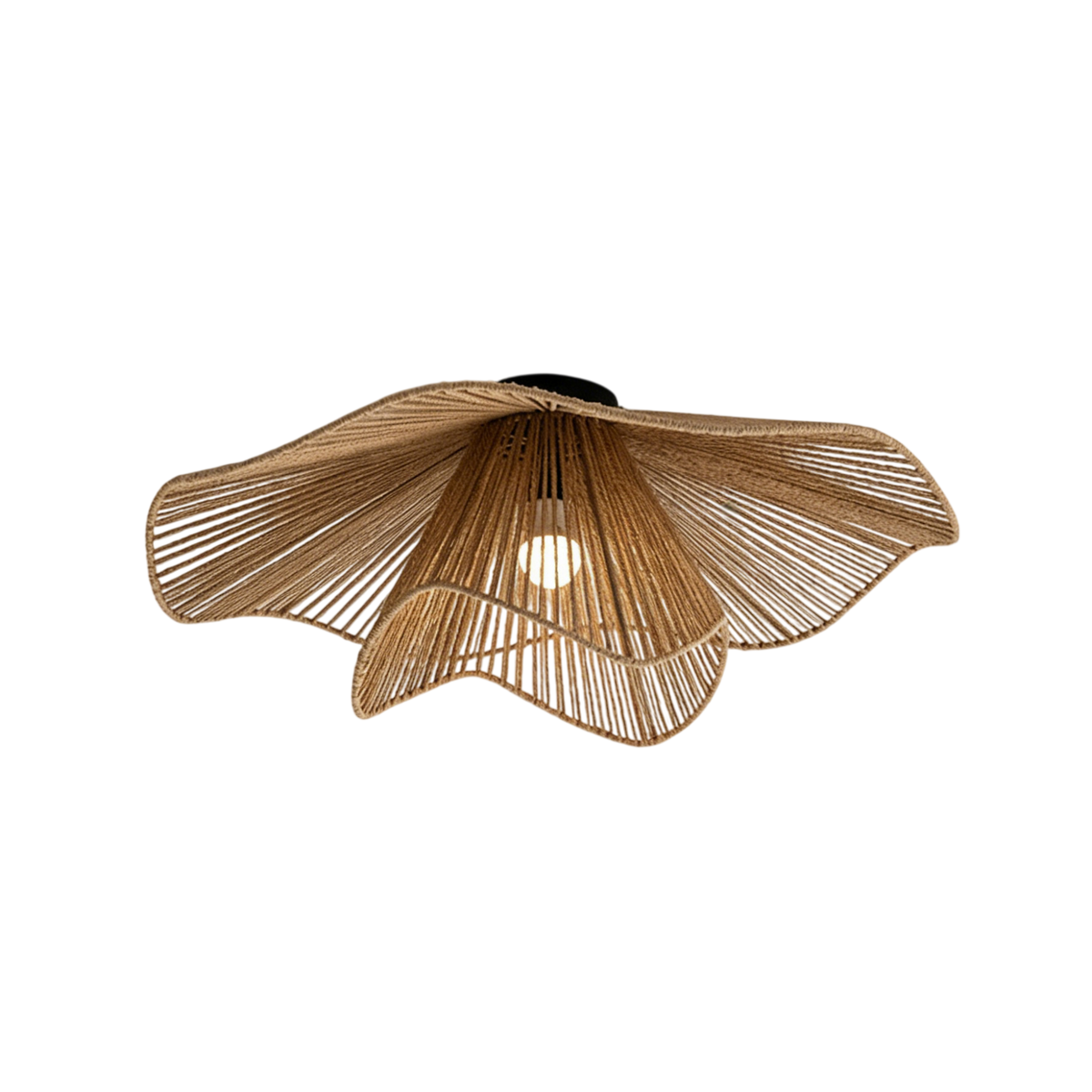 Liorariella plafondlamp