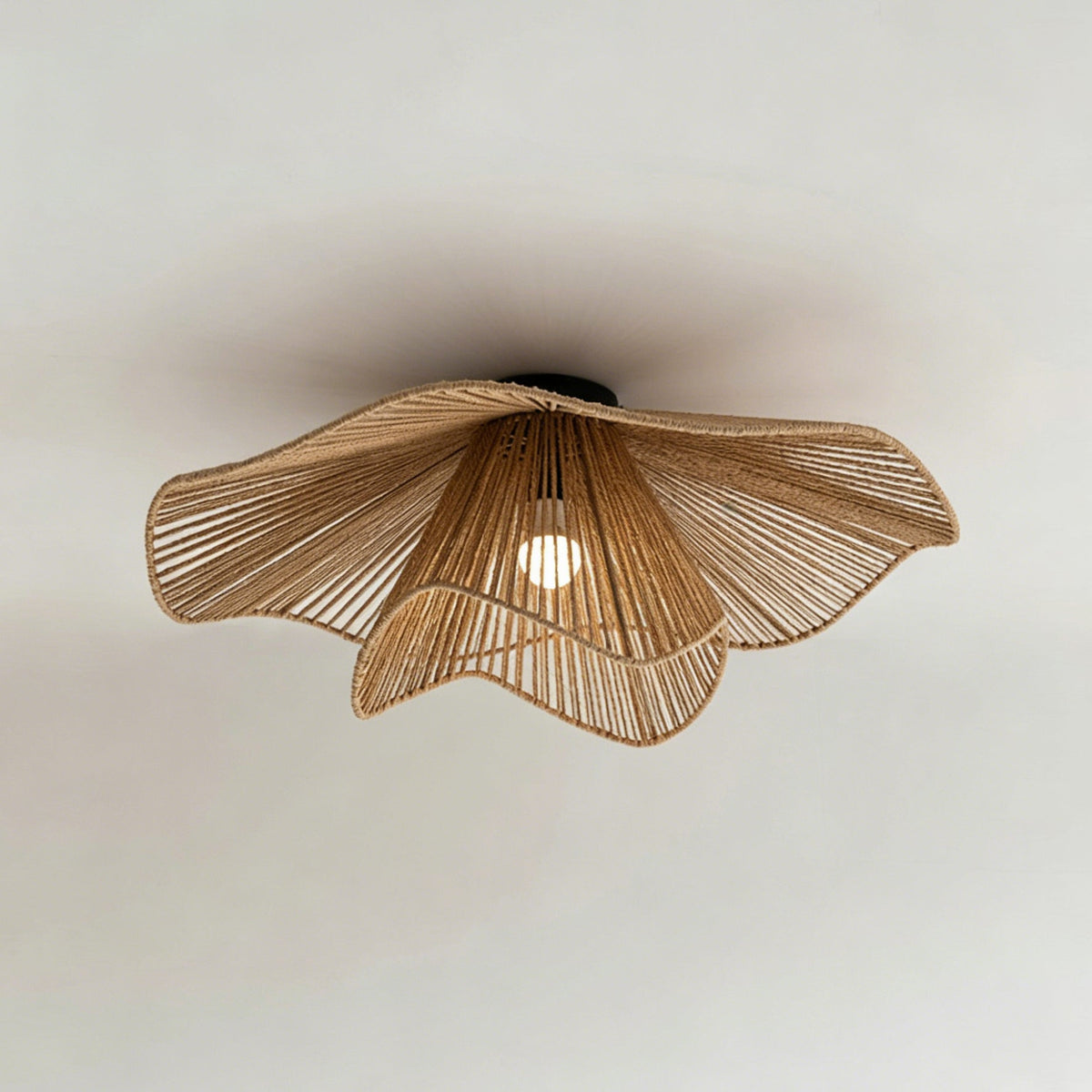 Liorariella plafondlamp