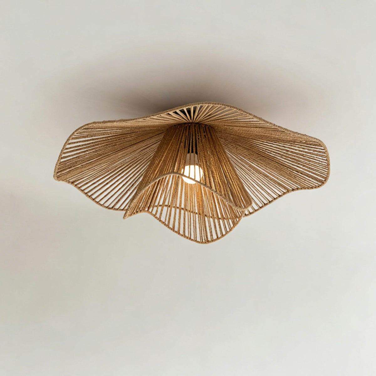 Liorariella plafondlamp
