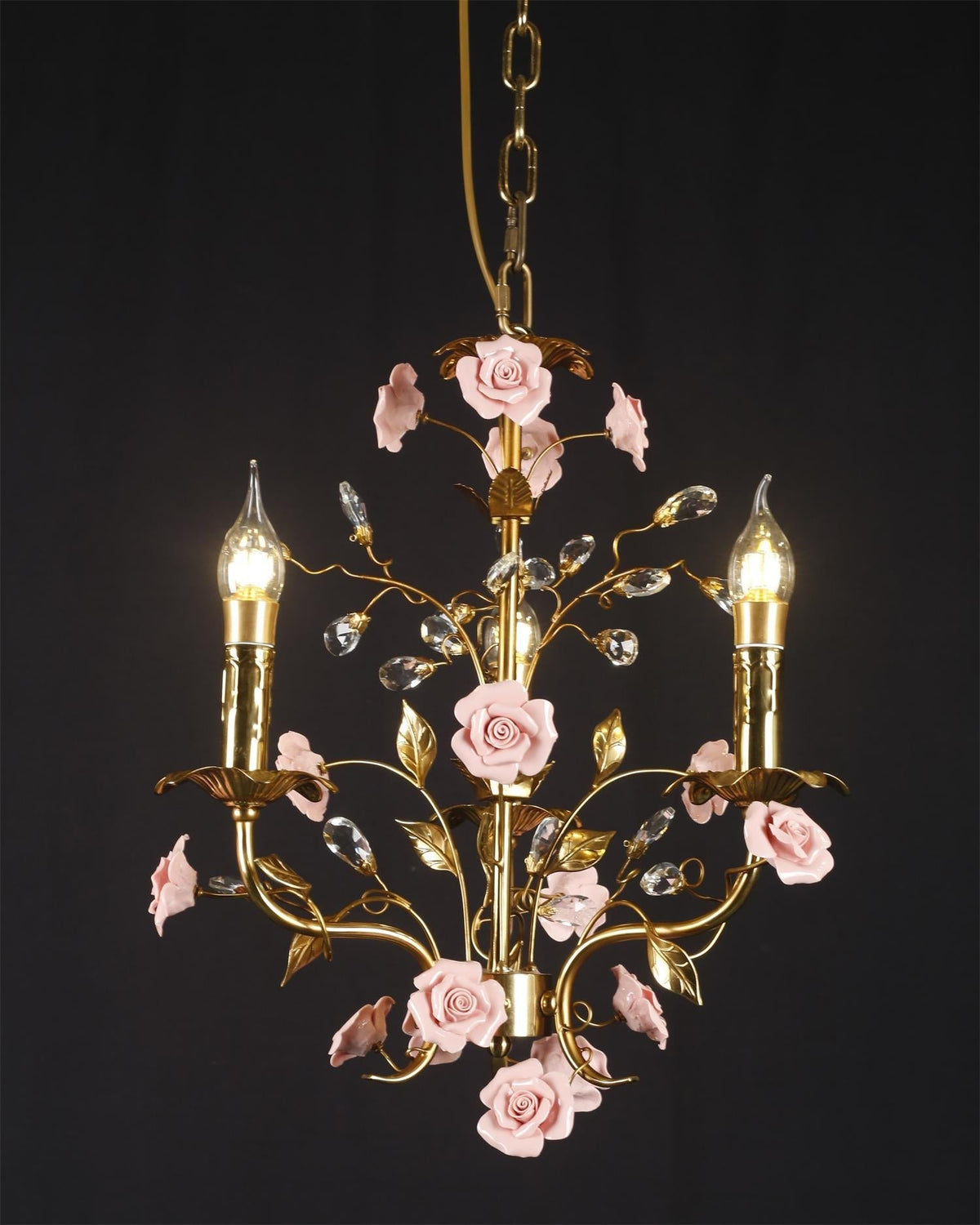 Liororiella hanglamp