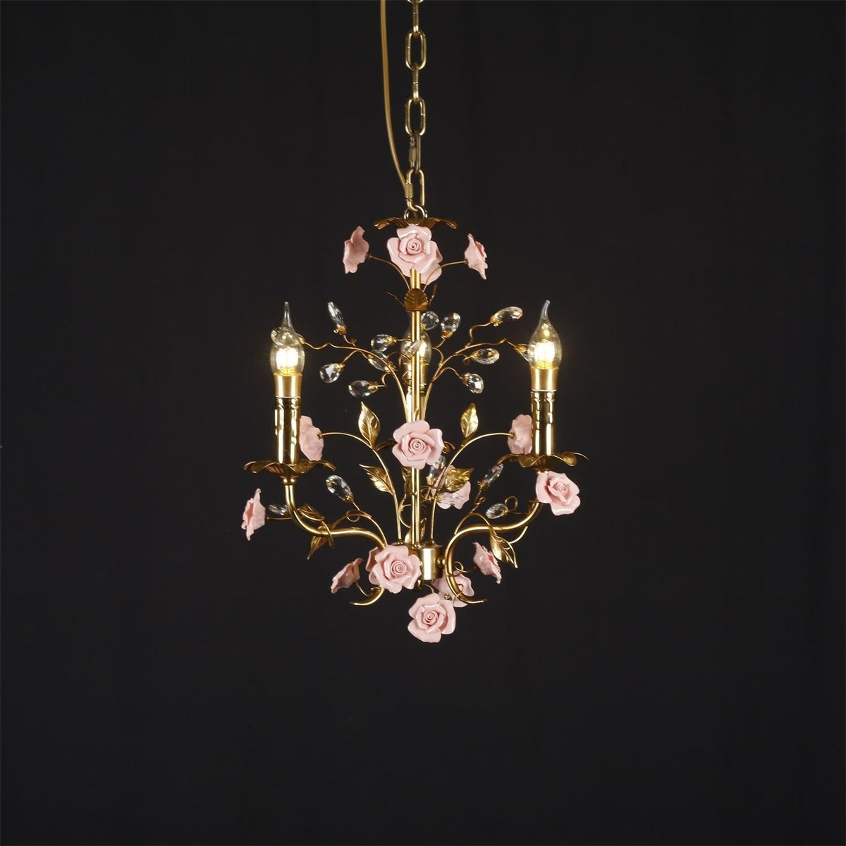 Liororiella hanglamp
