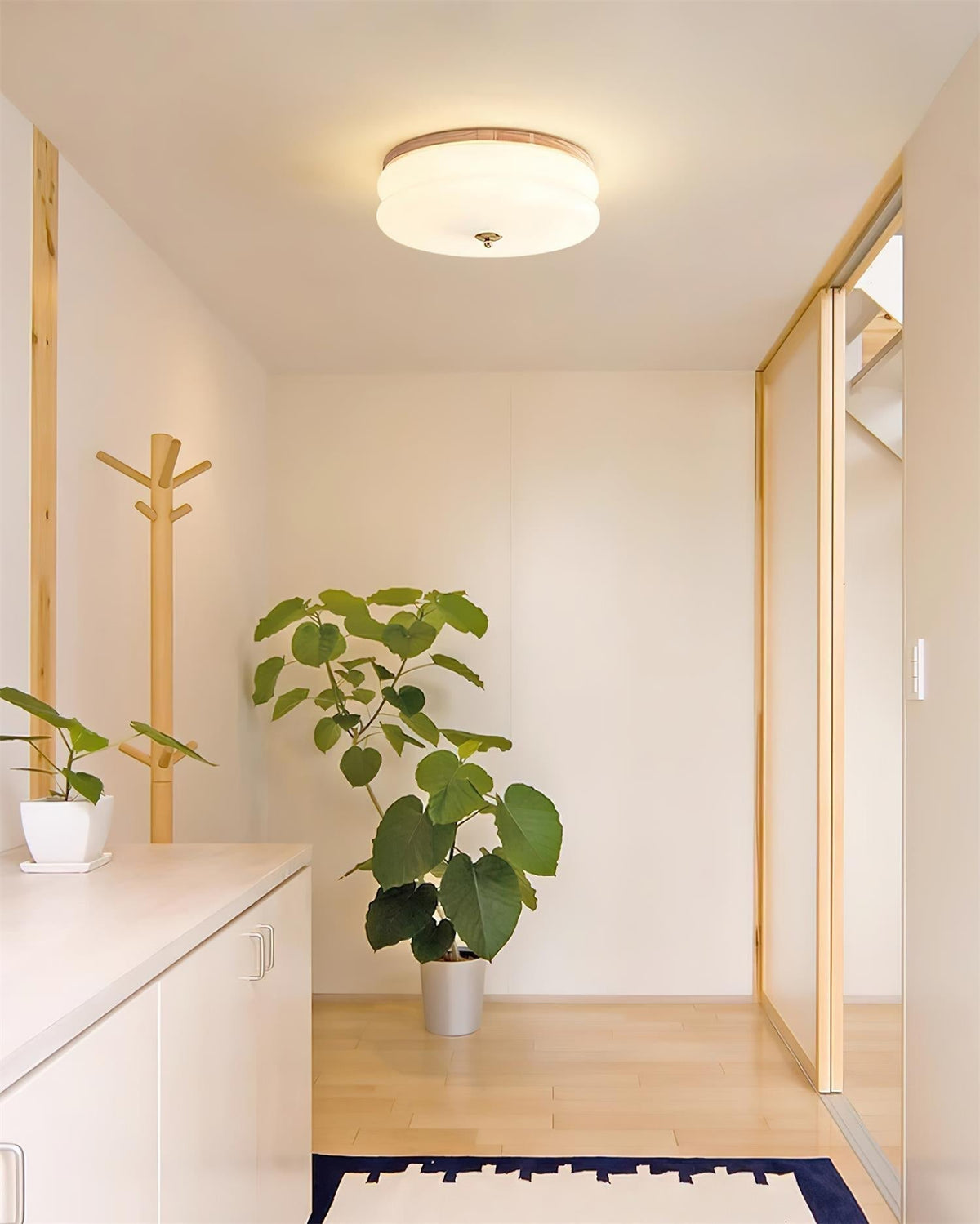 Cora plafondlamp dubbele laag glas schijf walnoot minimalistisch