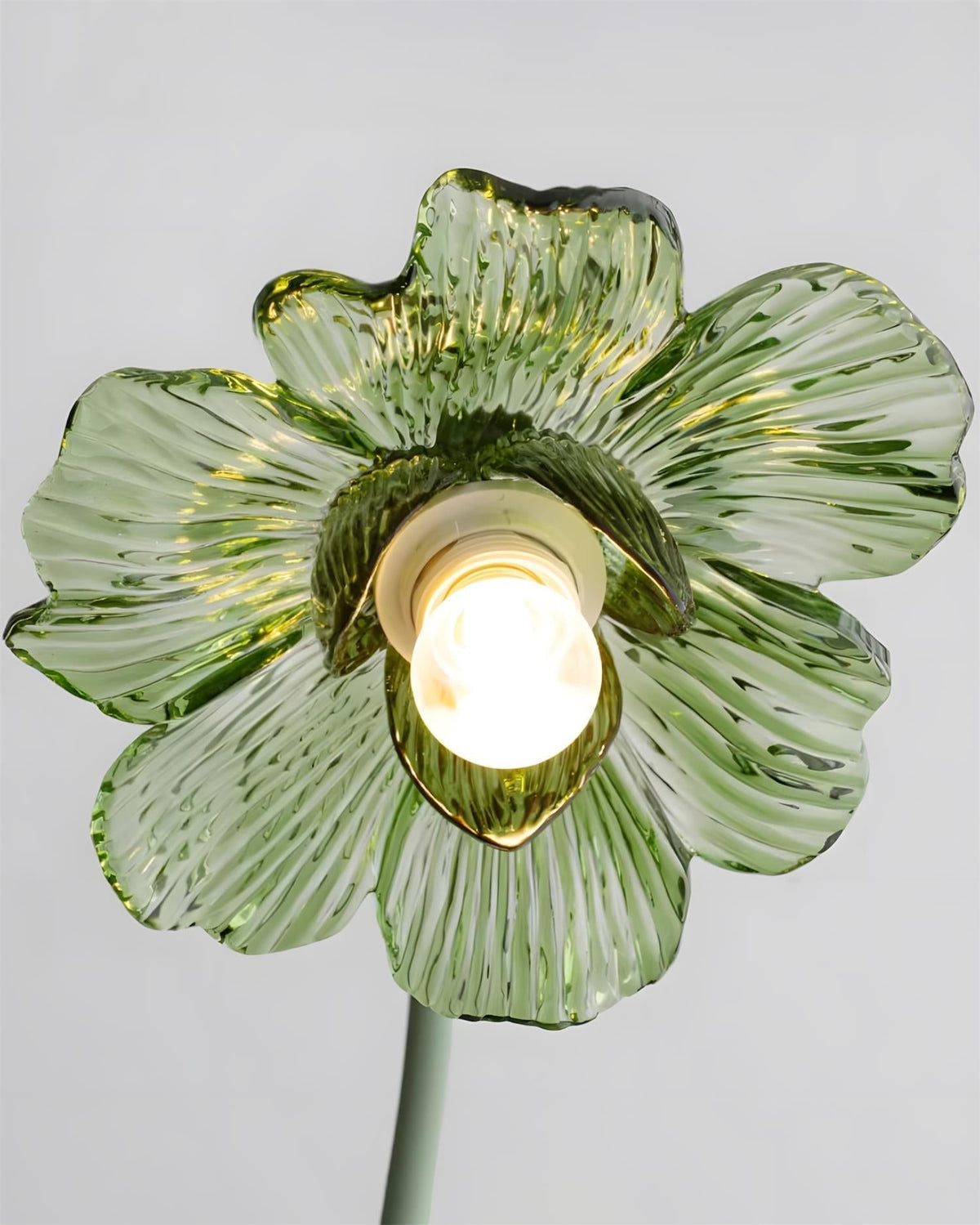 Velinella tafellamp