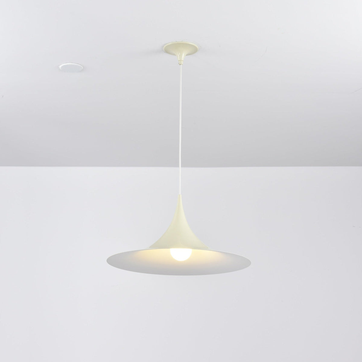 Lioreina Swag hanglamp