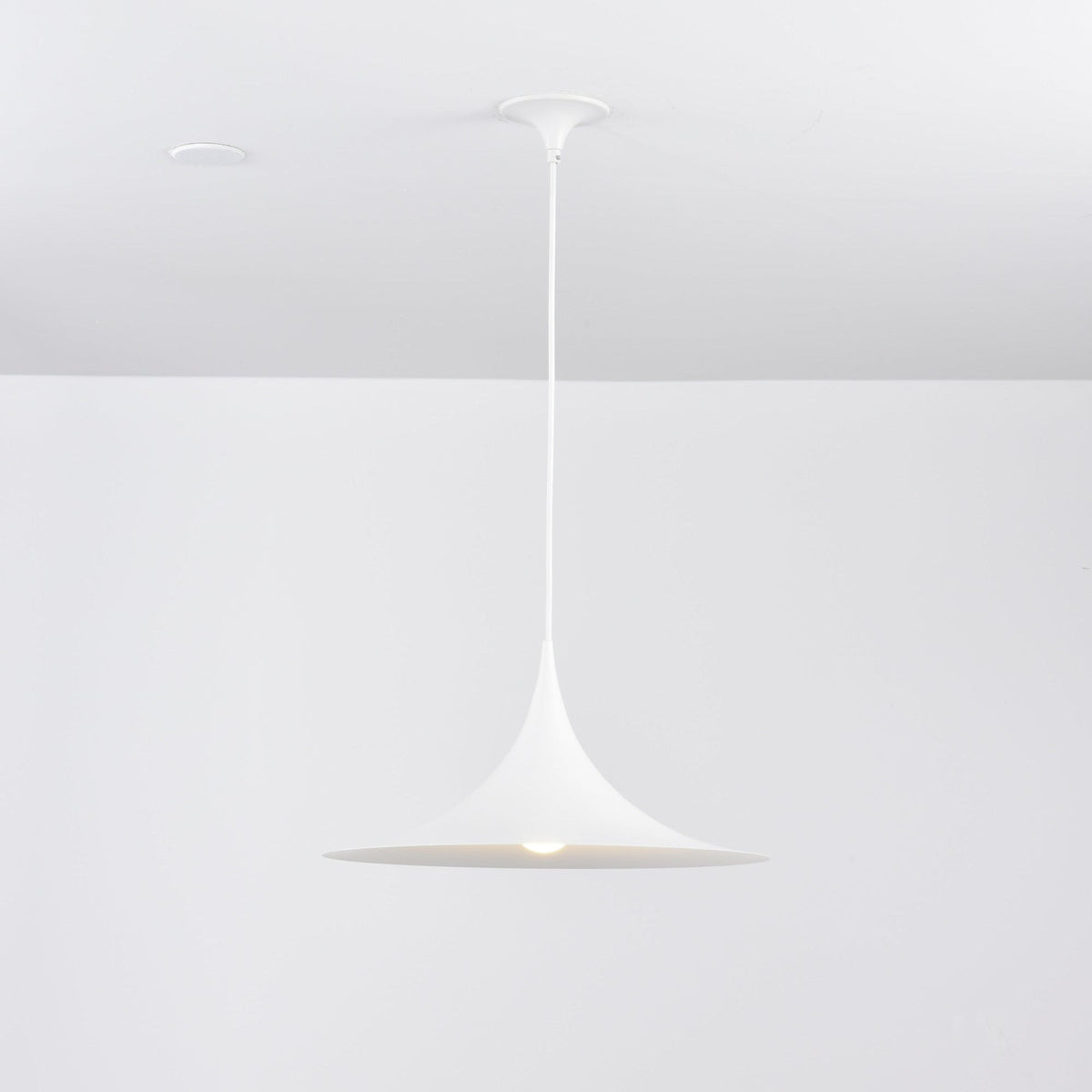 Lioreina Swag hanglamp