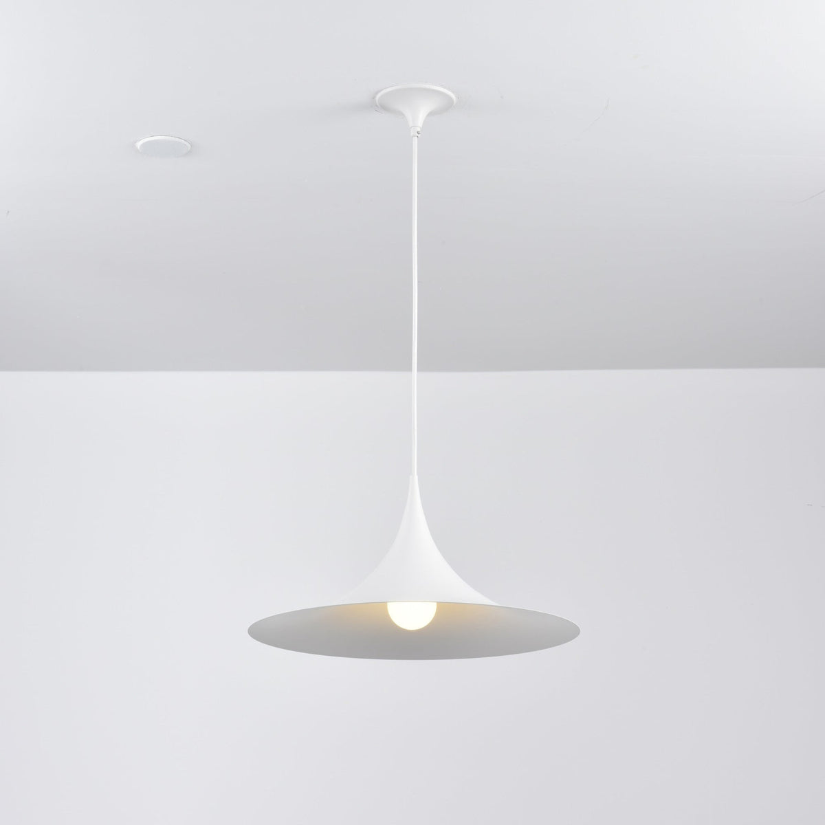 Valerira hanglamp van staal