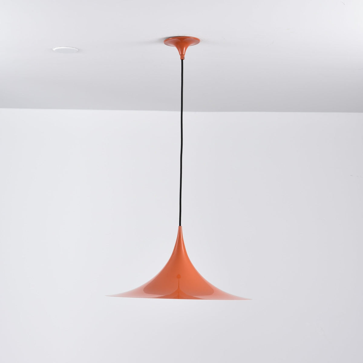 Lioreina Swag hanglamp