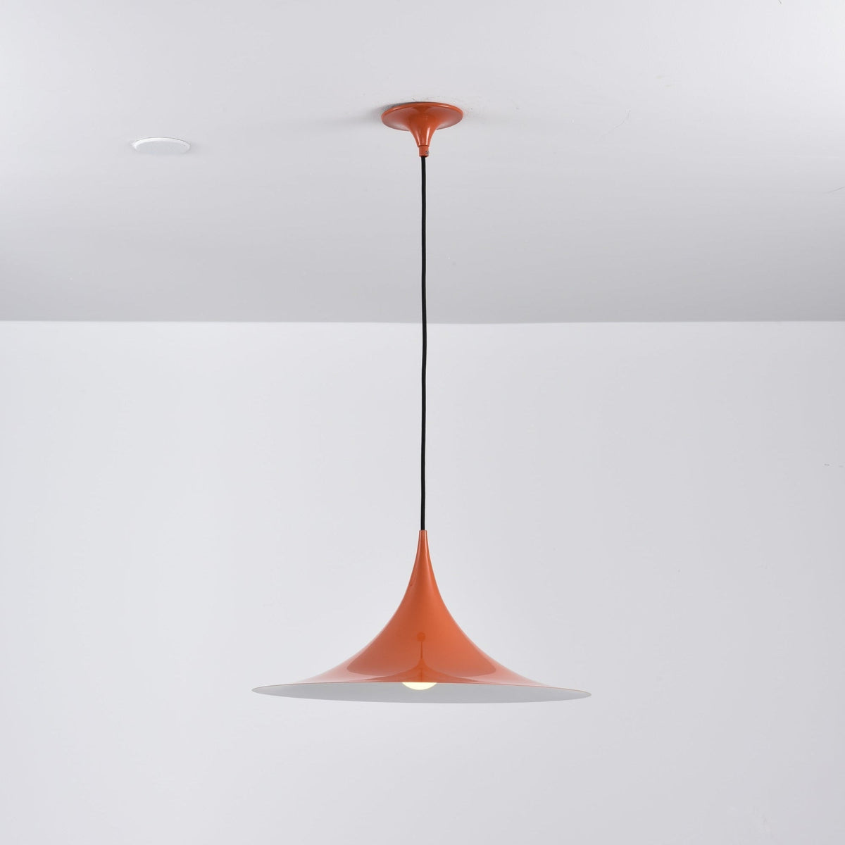 Lioreina Swag hanglamp