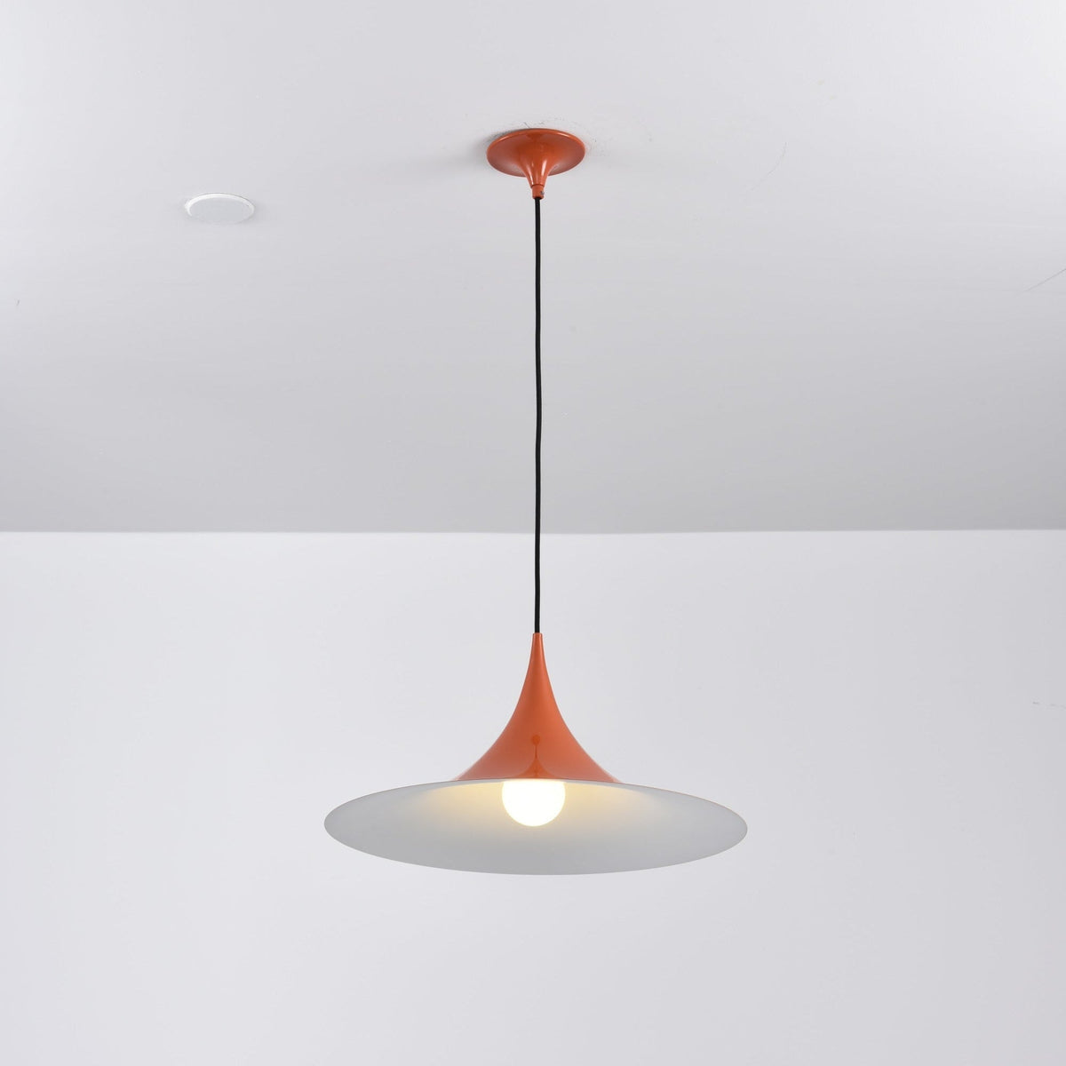 Lioreina Swag hanglamp