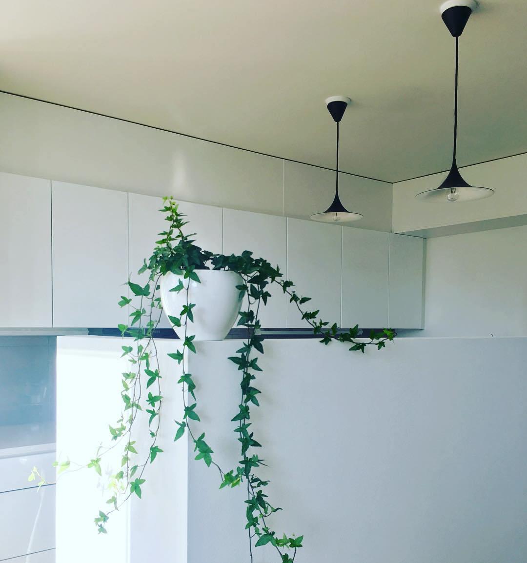 Lioreina Swag hanglamp
