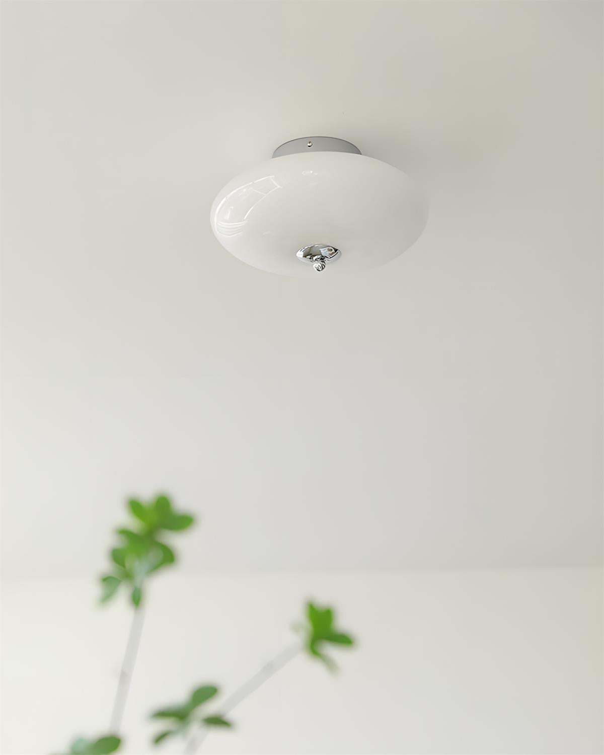 Velalena plafondlamp