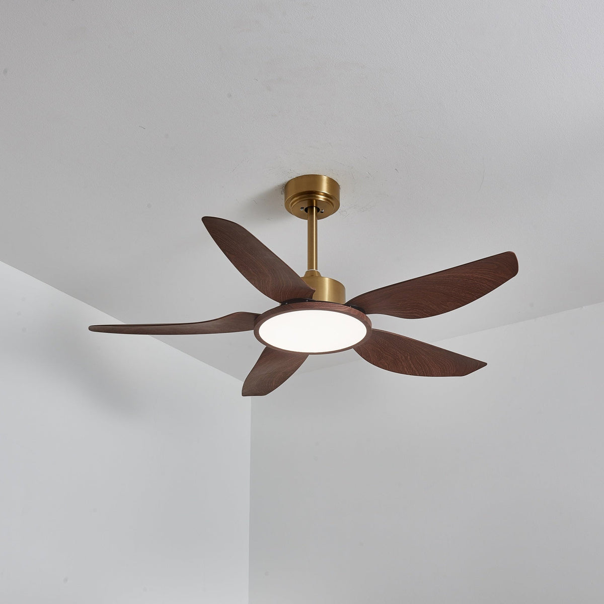 Sylenel modern Hout Messing Plafondventilator met lamp