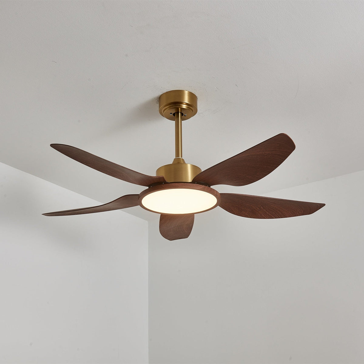 Sylenel modern Hout Messing Plafondventilator met lamp