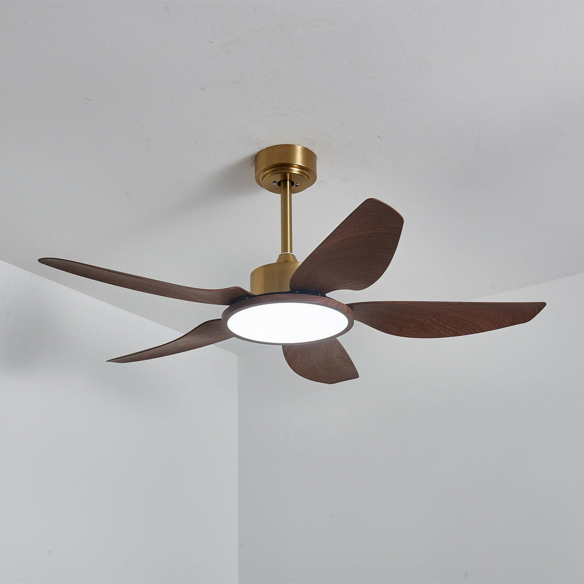 Sylenel modern Hout Messing Plafondventilator met lamp