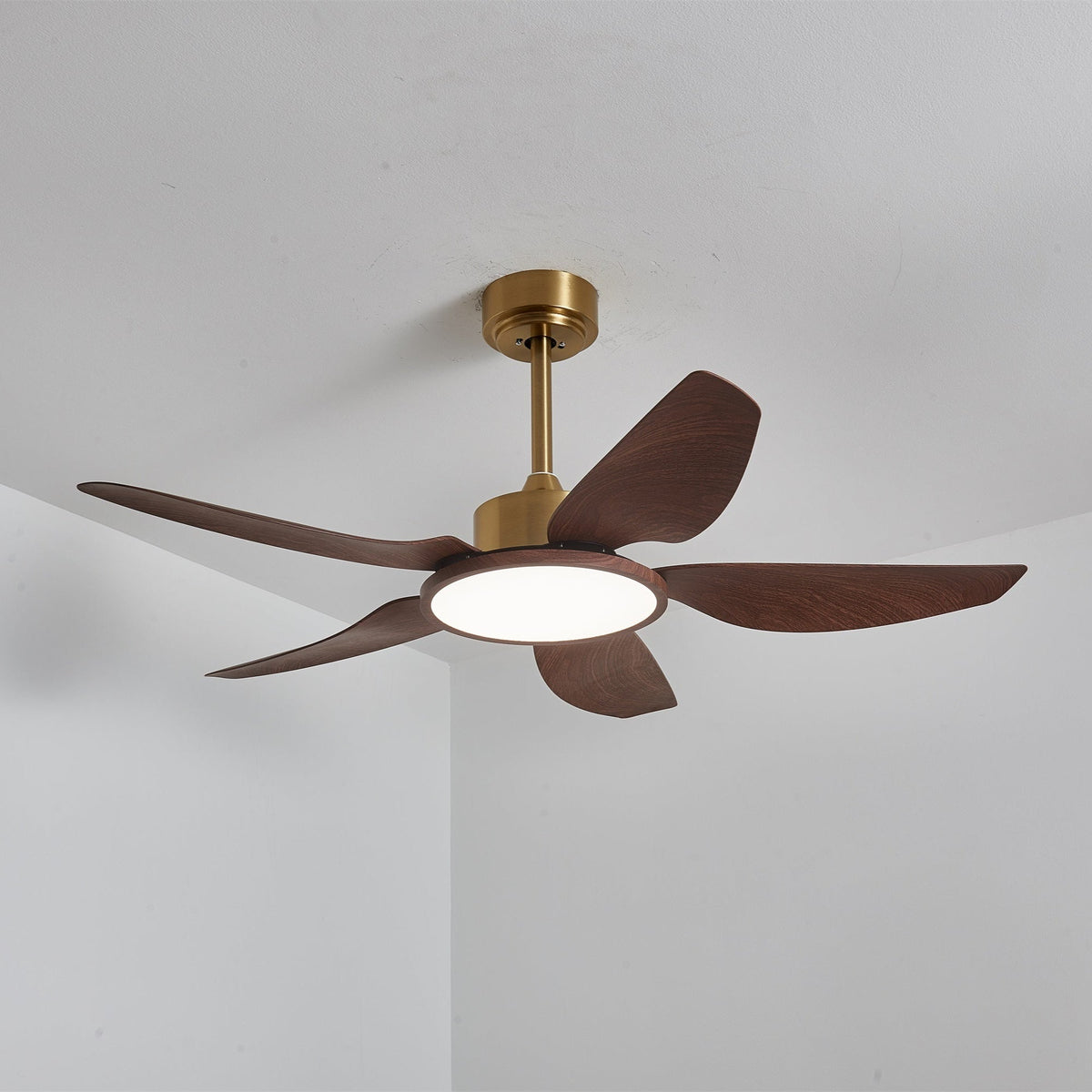 Sylenel modern Hout Messing Plafondventilator met lamp