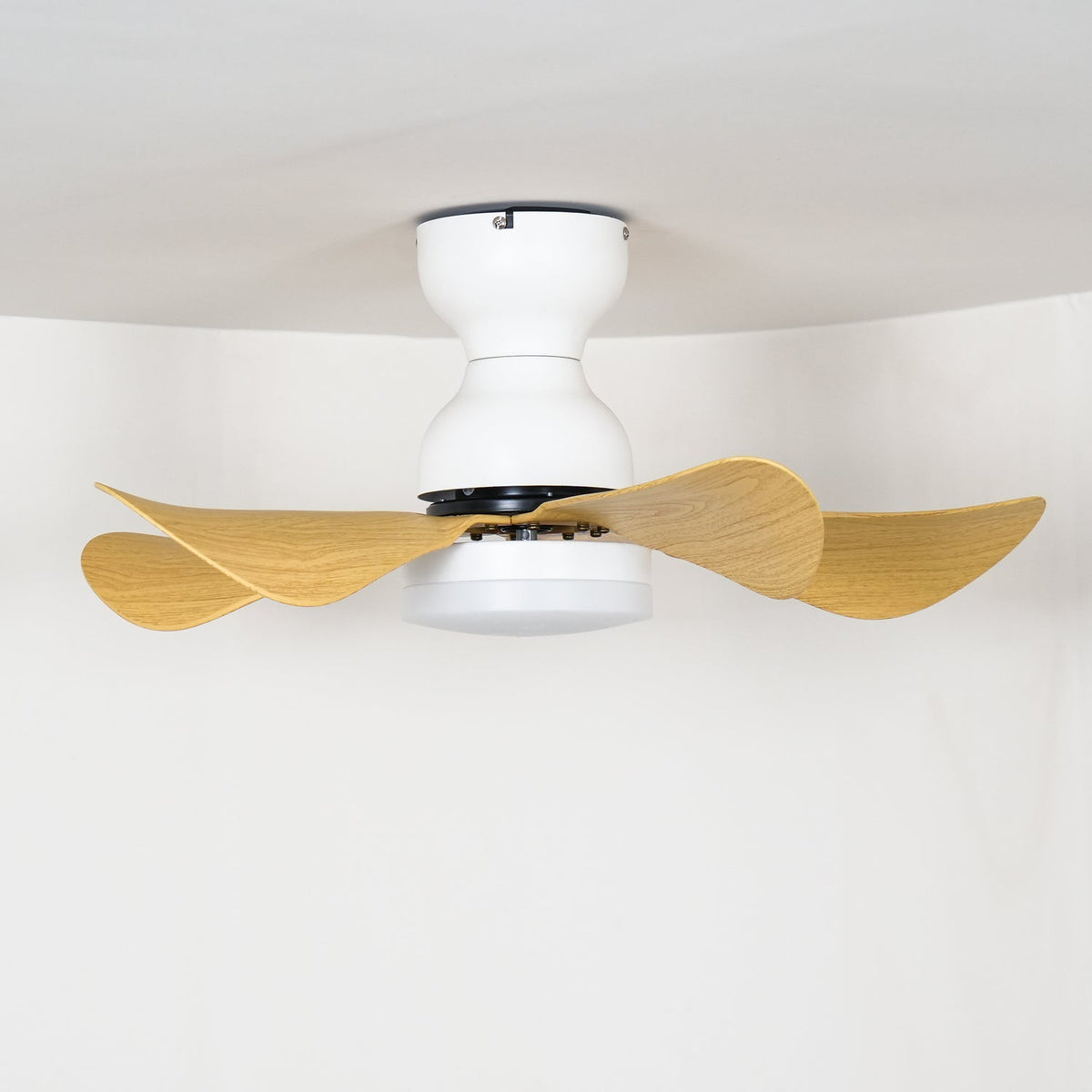 Elvanelle plafondventilator met verlichting van walnoot