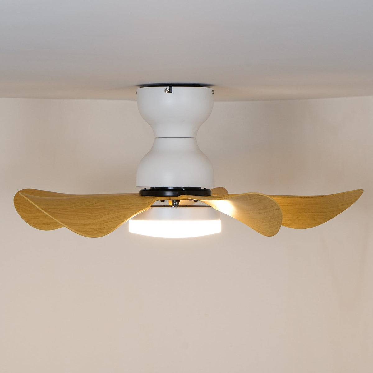 Elvanelle plafondventilator met verlichting van walnoot