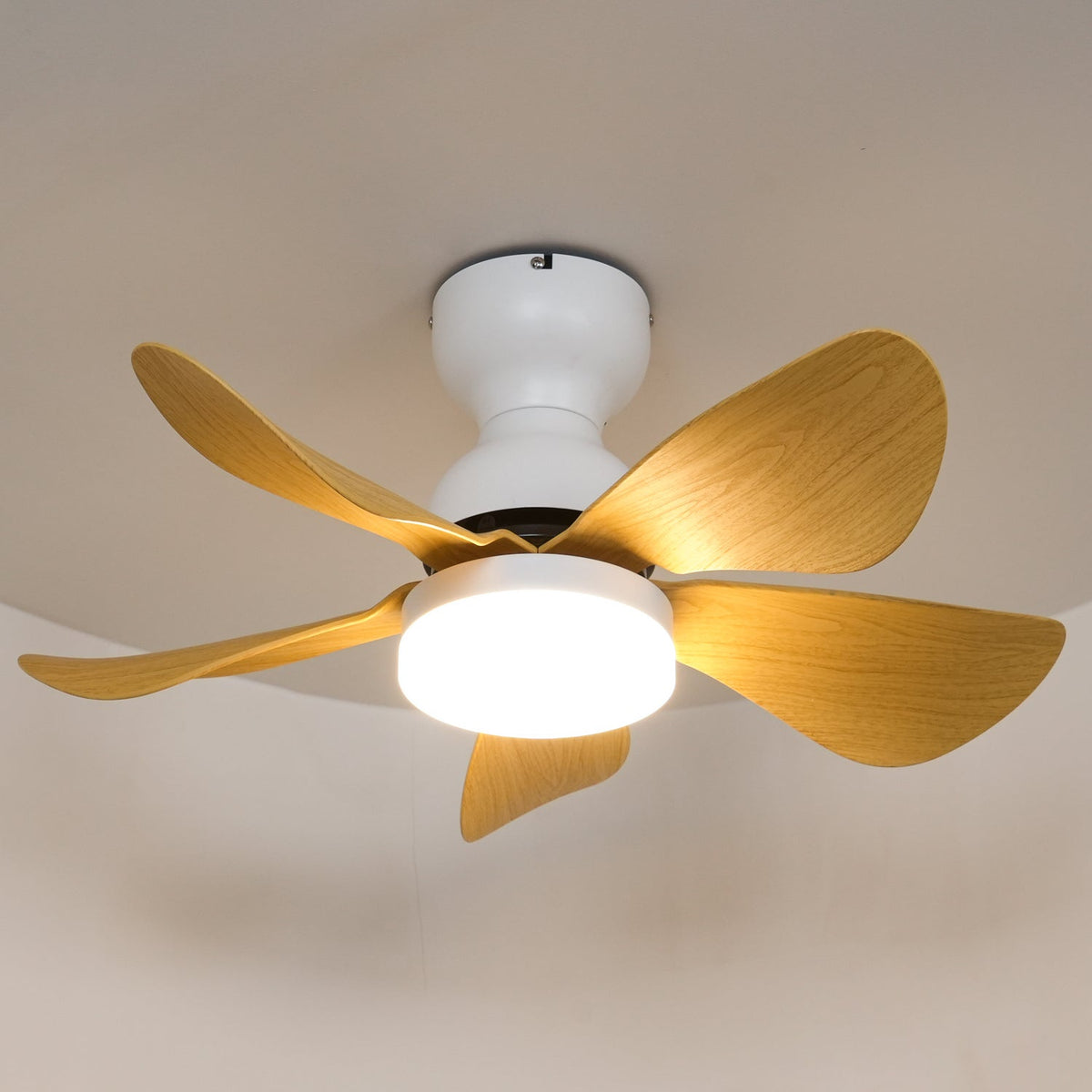 Elvanelle plafondventilator met verlichting van walnoot