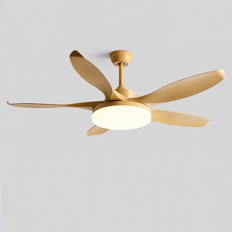 Liororeria plafondventilator met verlichting