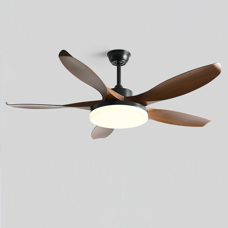 Liororeria plafondventilator met verlichting